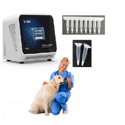Automatischer PCR-Analysator MT-PCR01 für Anwendung in den Haustier-Krankenhäusern